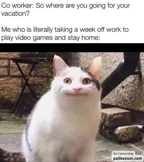 An image of a white cat smiling politely with text about taking a vacation week to stay home.