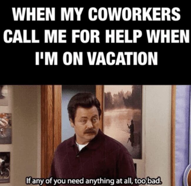Meme of Ron Swanson from Parks and Recreation stating that if anyone needs help, too bad.